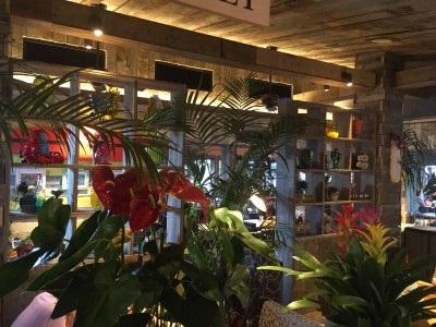 ラナイカフェ　イオンモール沖縄ライカム店　（No.110942）